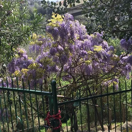 La Casa Al Mare * Celle Ligure