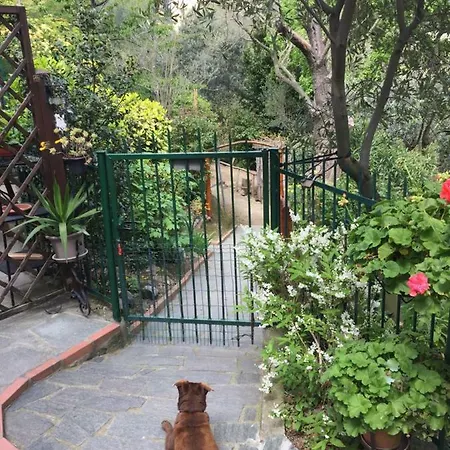 La Casa Al Mare * Celle Ligure